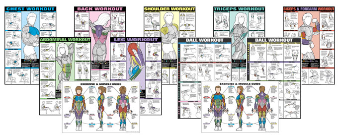 Fitnus Chart Flip Chart