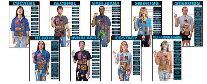 Effects Of Drugs On The Body Chart