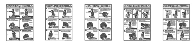 First Aid Series Study Sheets First Aid Series Study Sheets