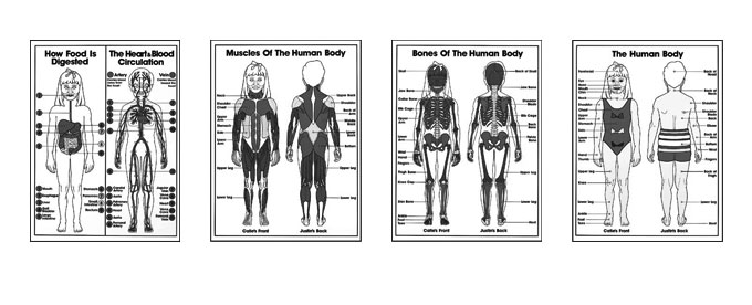 Grades K-3 Anatomy Coloring Sheets