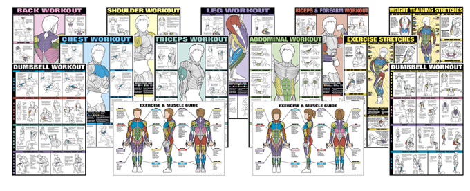 Fitnus Chart Flip Chart