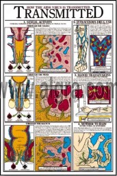 How the Aids Virus is Transmitted