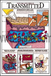 How the Aids Virus is Transmitted Grades 5-9 Poster