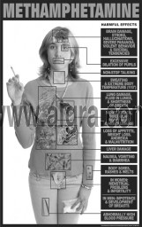 Methamphetamine Education Study Sheets