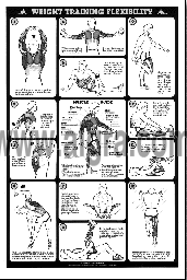 Weight Training Stretches Study Sheets