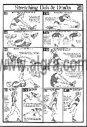 Stretching Education Study Sheets