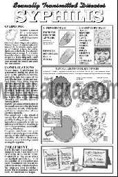 Syphilis Study Sheet