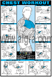 Chest Workout Poster