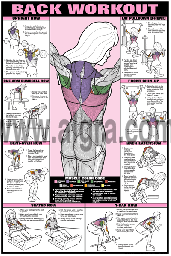 Female Back Workout Poster