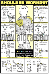 Shoulder Workout Poster