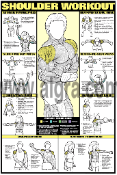 Shoulders  Workout posters, Shoulder workout, Training fitness gym