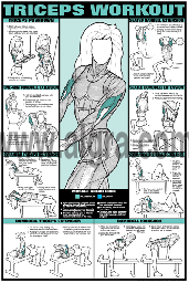 Co-Ed Triceps Workout Poster