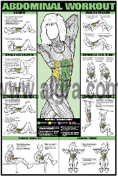 Female Abdominal Workout Poster