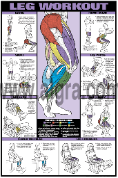 Leg Workout Poster