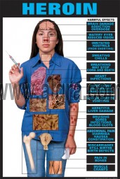Effects of Heroin Poster