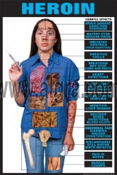 Heroin Effects Transparency