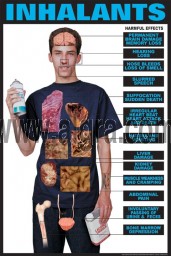 Effects of Inhalants Poster