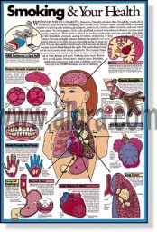 Smoking & Your Health Poster