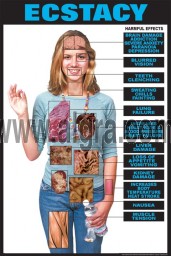 Effects of Ecstasy Poster