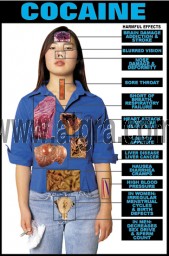 Effects of Cocaine Poster