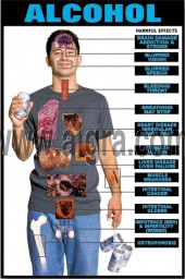 Alcohol Effects Transparency