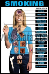 Effects of Smoking Poster