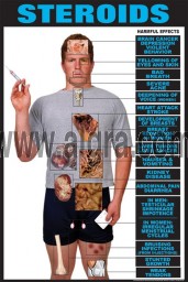 Effects of Steroids Poster