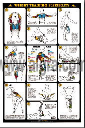 Weight Training Flexibility Poster