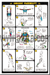 Aerobic Flexibility Poster