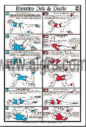 Exercise Education Poster