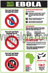 Facts About Ebola Poster