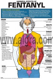 FENTANYL -  The Harmful effects of Fentanyl Poster