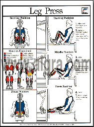 Leg Press Poster