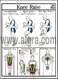 Knee Raise Poster