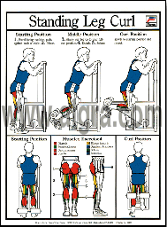 Standing Leg Curl Poster