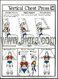 Vertical Chest Press Poster