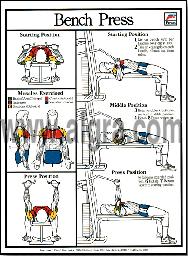 Bench Press Poster