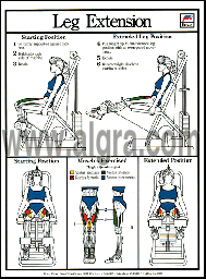 Leg Extension Poster