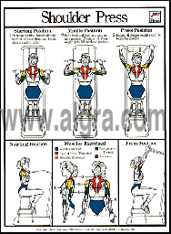 Shoulder Press Poster