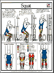 Squat Poster