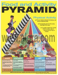 Food Pyramid Poster