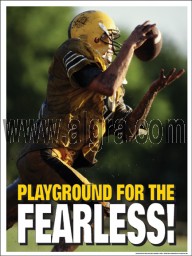 Fearless Poster