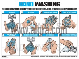 Hand Washing Poster 12" X 16" Poster