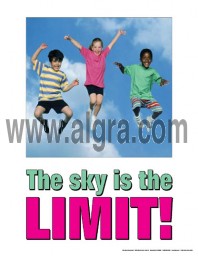 Sky is the Limit Poster