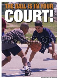 Basketball Court Poster