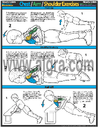 Chest / Arm / Shoulder Exercises Poster