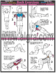 Back Exercises Poster