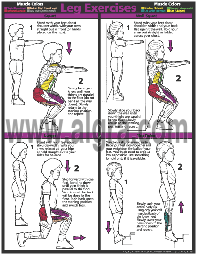 Leg Exercise Poster