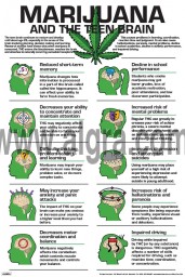 Marijuana and the Teen Brain Poster