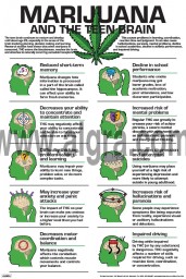 Marijuana and the Teen Brain Poster